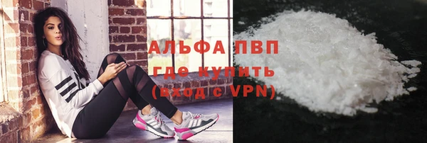 PSILOCYBIN Новокубанск