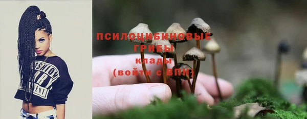 а пвп мука Баксан