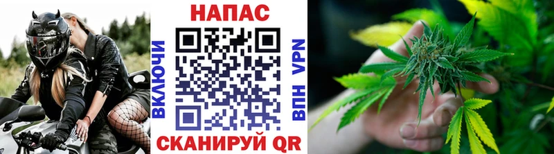 Бошки марихуана Amnesia  даркнет сайт  Ступино 